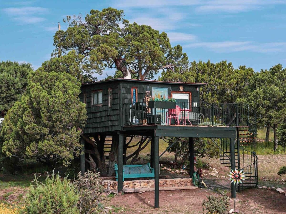 Ashley'S Treehouse At El Mistico Ranch Nogal Exterior foto